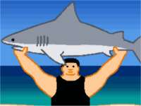 Shark Lifting